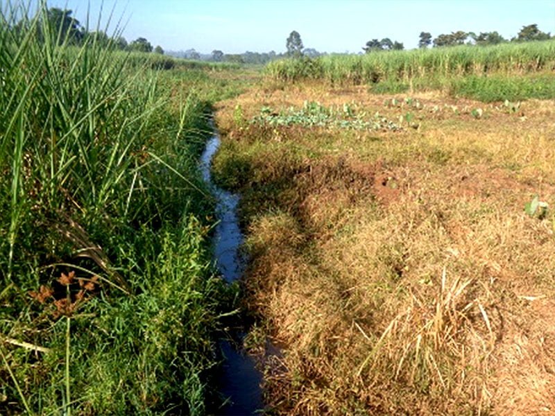 Global Village Children's Project - Stream is Tributary to Nile