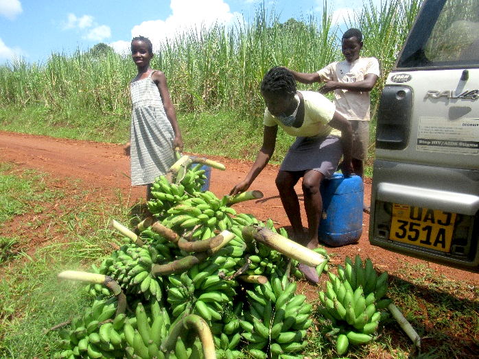 GVCP Bringing home the harvest in our truck – the gift of a generous donor
