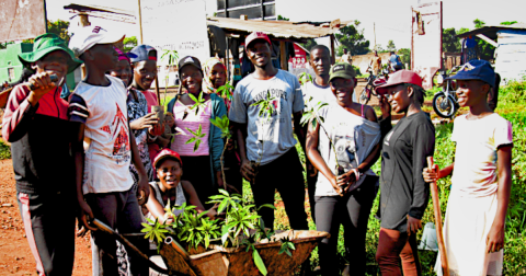 GVCP - Caring for Their Environment