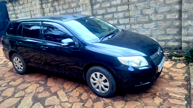 A fine used van that will cost us $10,000 total.